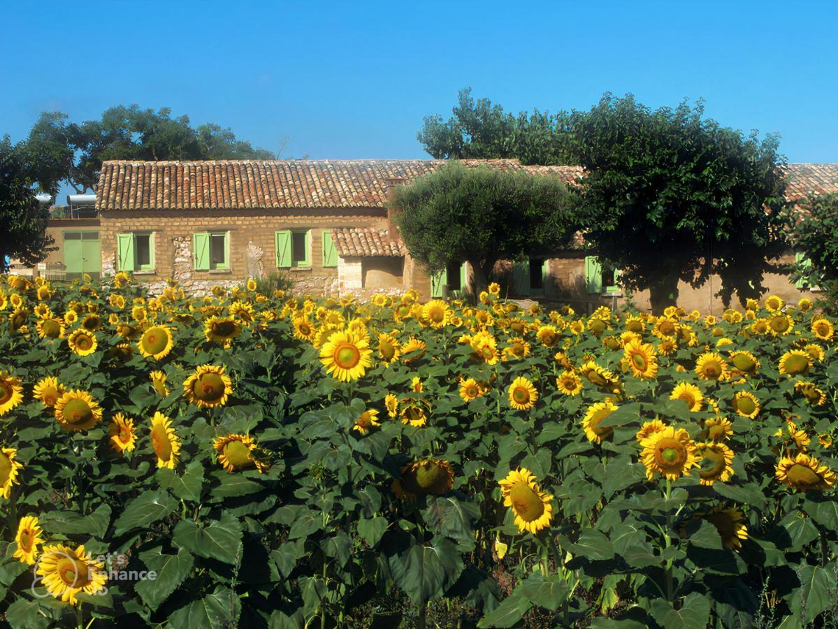 Il Canto Di Kokopelli Country Houses Brattiro Dış mekan fotoğraf