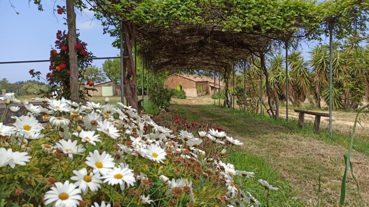 Il Canto Di Kokopelli Country Houses Brattiro Dış mekan fotoğraf